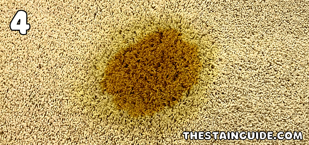 Remove Coffee Stains From Carpet | The Stain Guide
